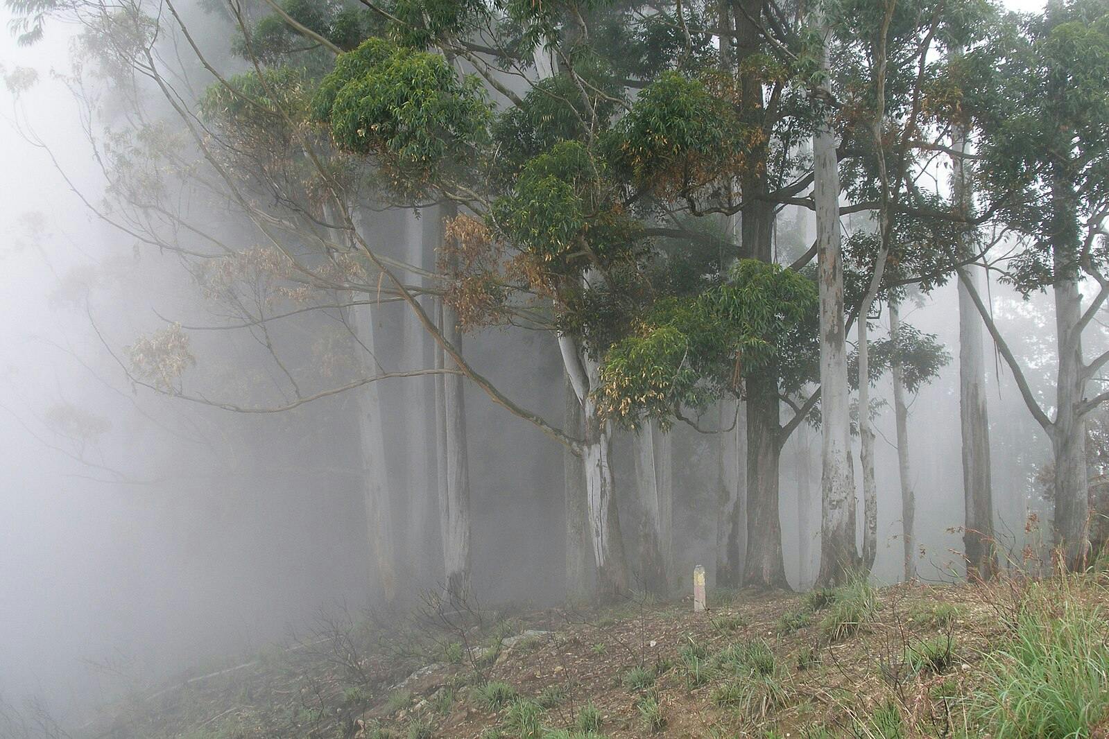 December in Sri Lanka